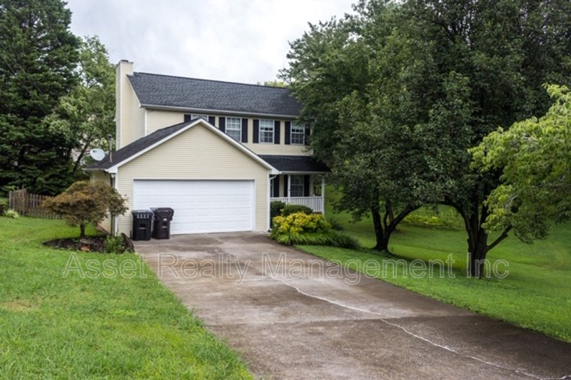 9009 Tall Timber Drive property image