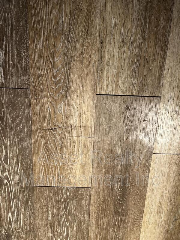 5017 Inskip Rd #3 property image