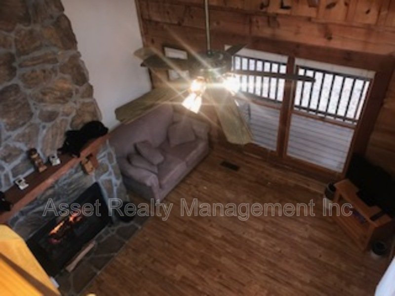 1003 Old Cades Cove Road property image