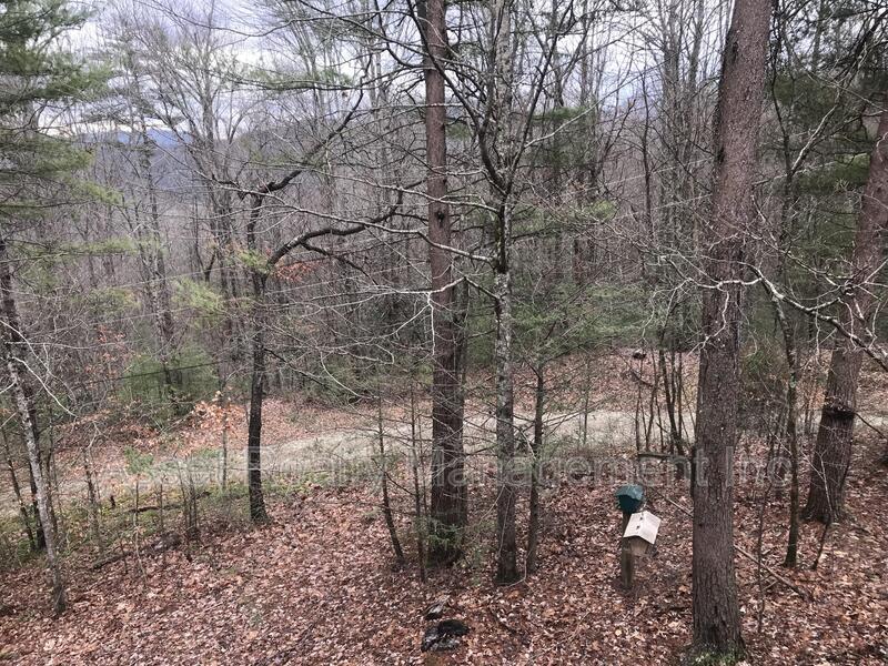 1003 Old Cades Cove Road property image